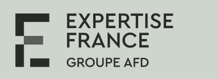 expertise france